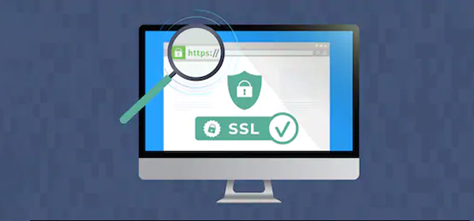 SSL certified website