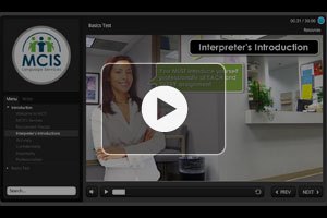 Interpreting Basics demo video
